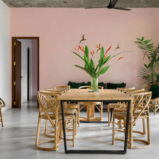 A dining room with rattan chairs and pink walls