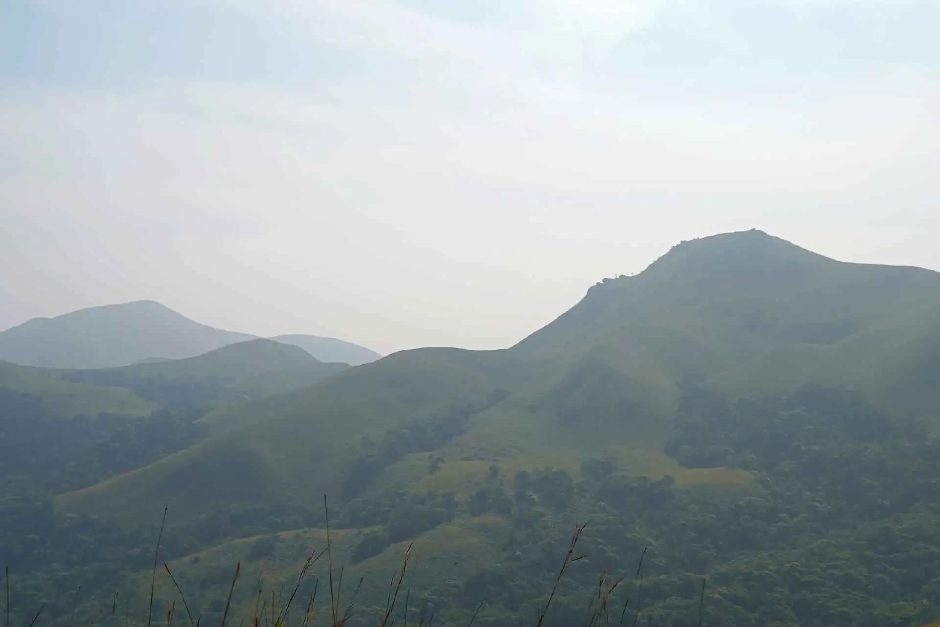 Friends of the Farmer | Coffee Brewing Trip