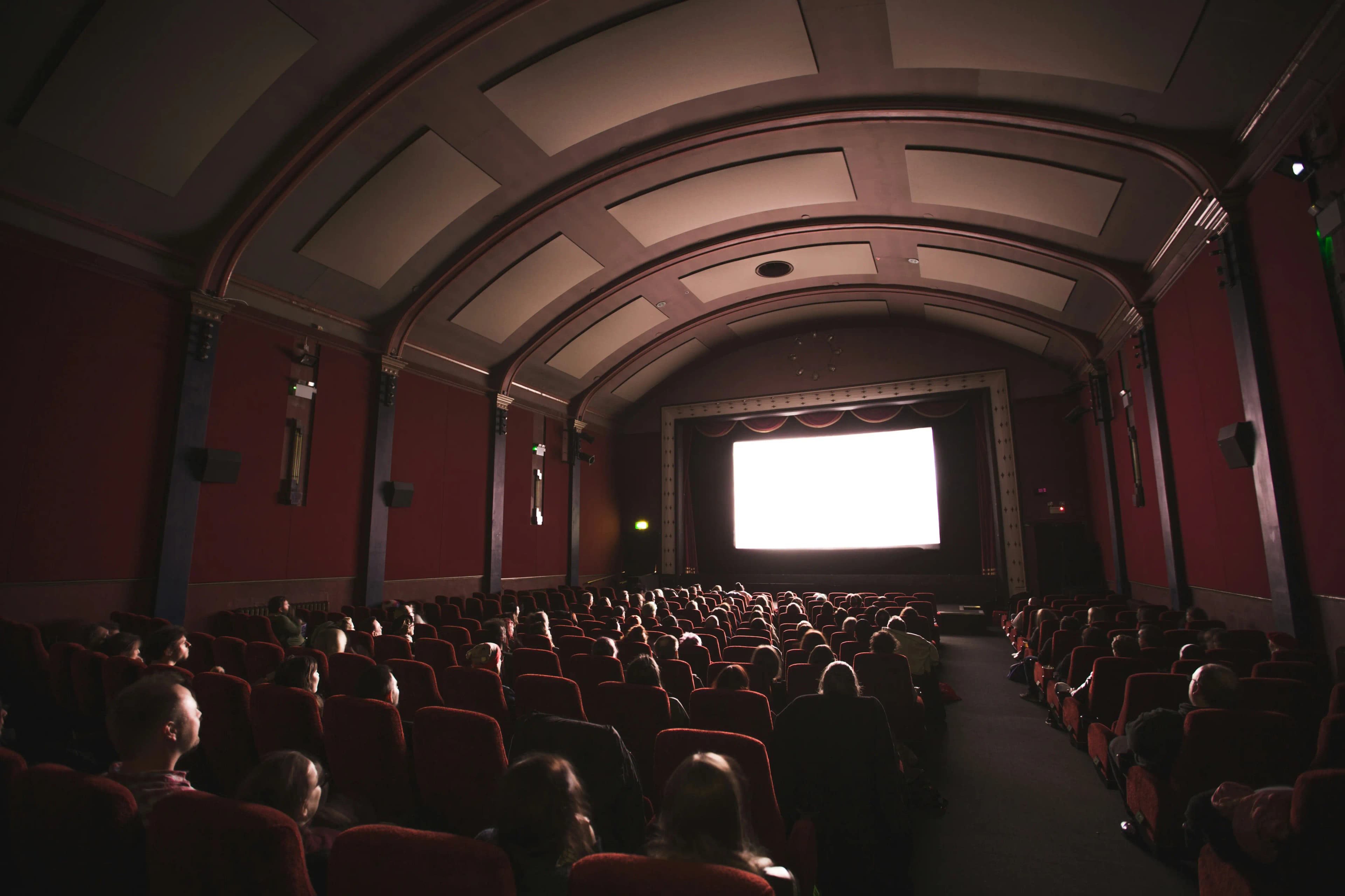 Film Screenings & Festivals