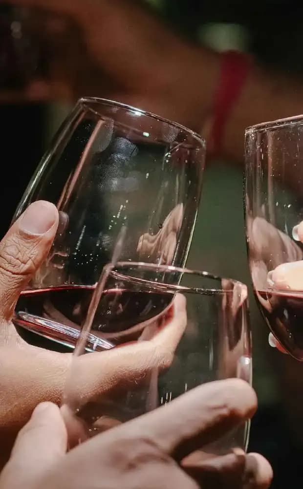 Wine In Progress 