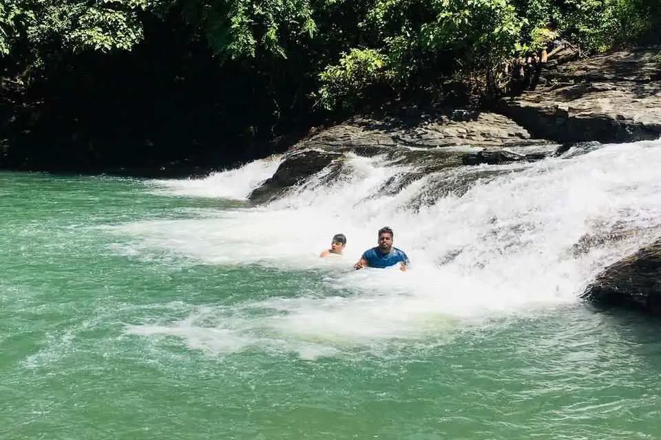 Fuloi Fuloi : Forest-Falls, North-Goa.