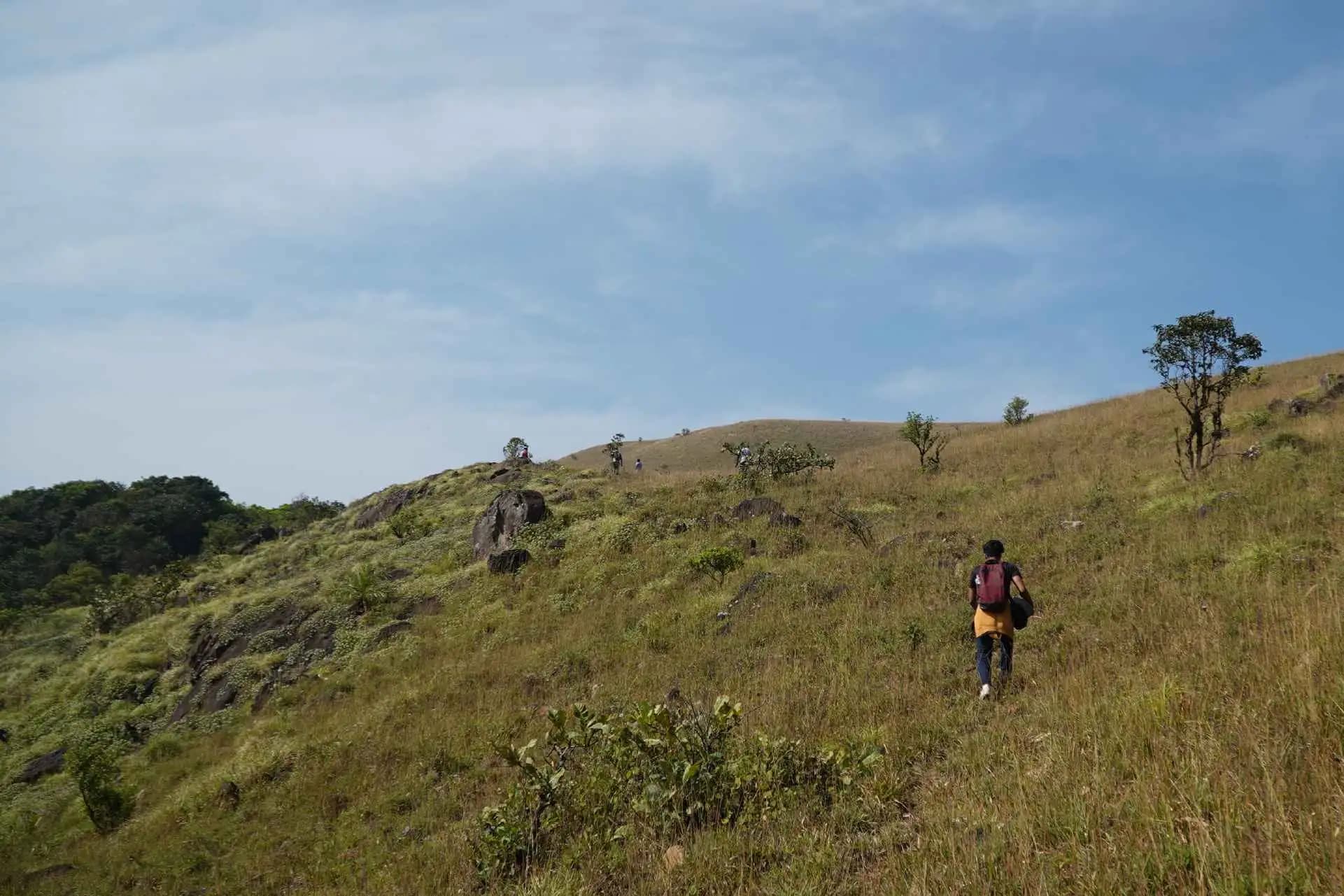 Friends of the Farmer | Coffee Brewing Trip