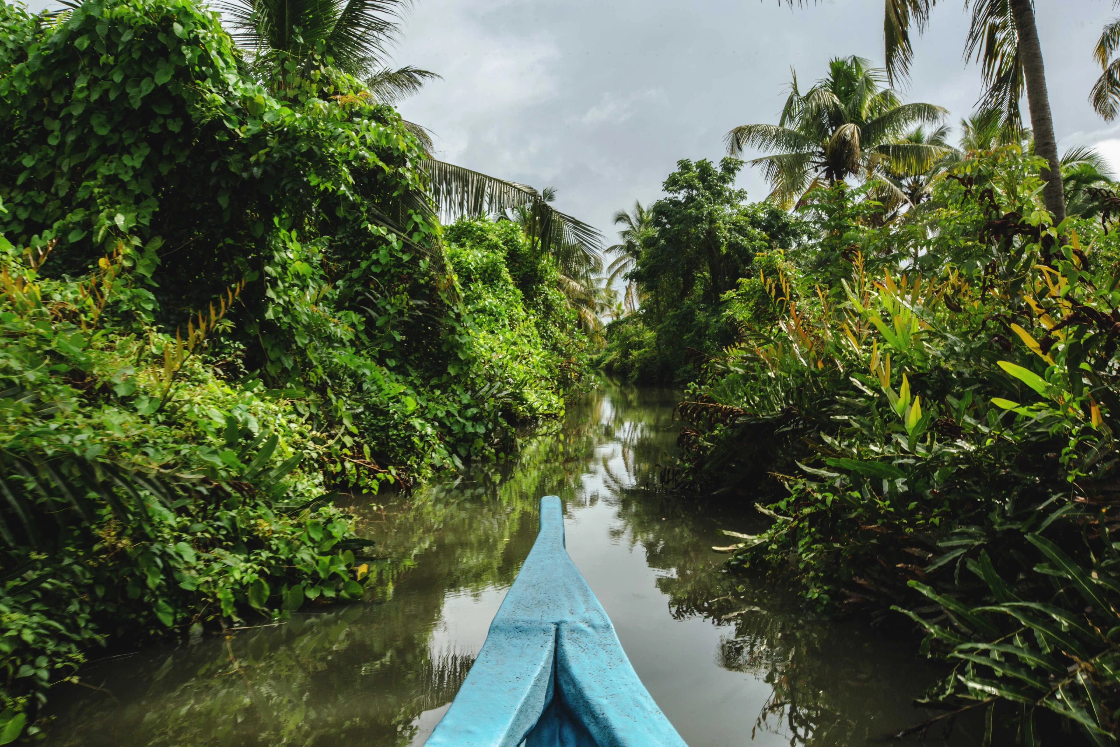 Dillipoetry in Kochi