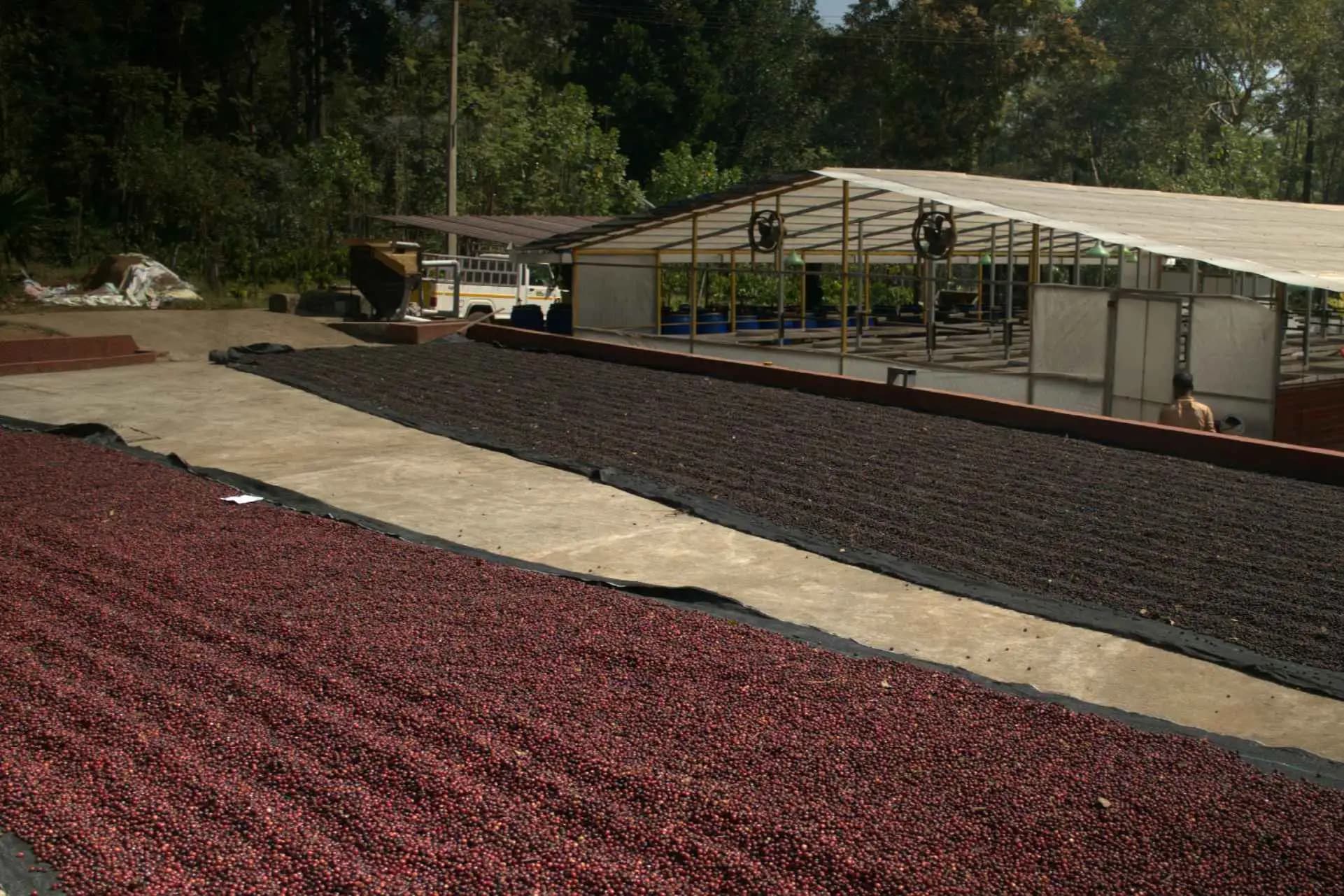 Friends of the Farmer | Coffee Brewing Trip