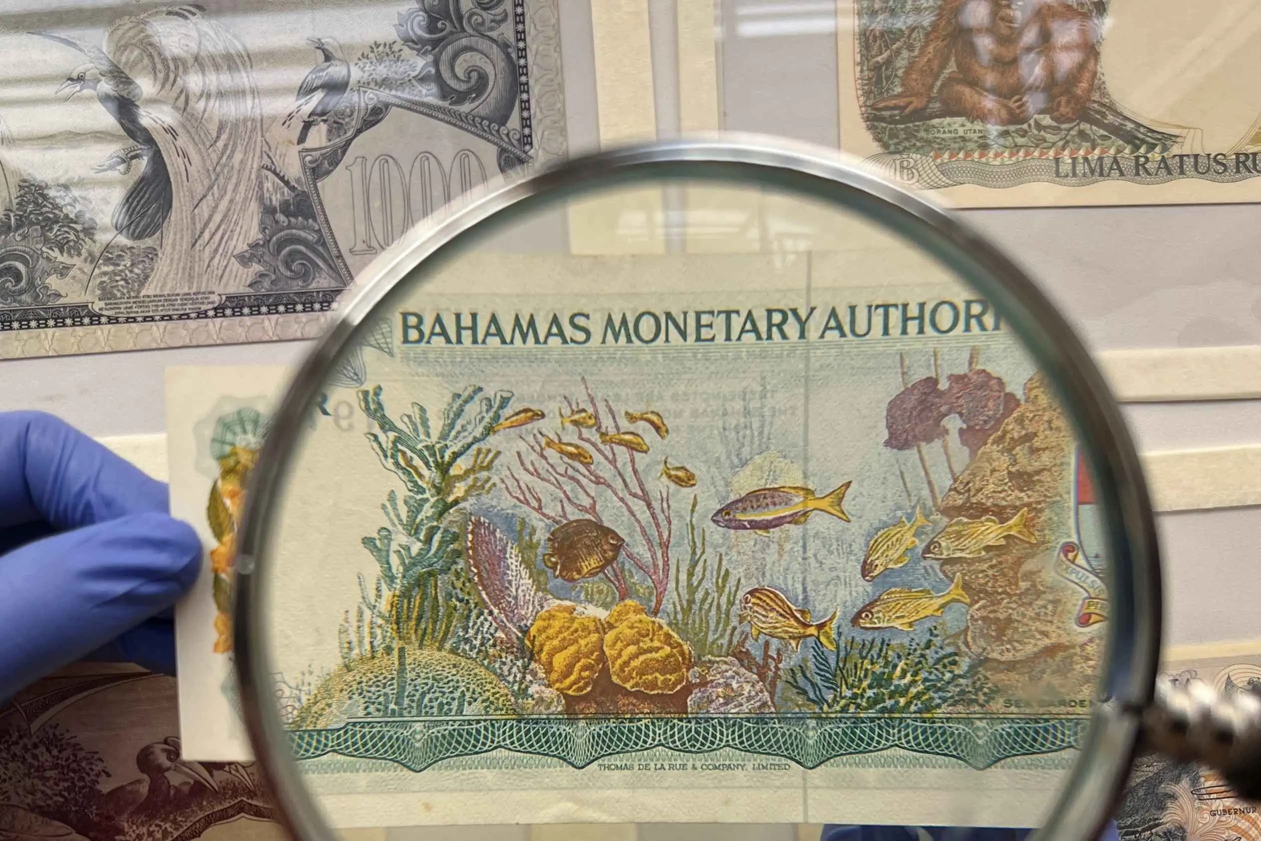 Nature through Currency: A Show & Tell