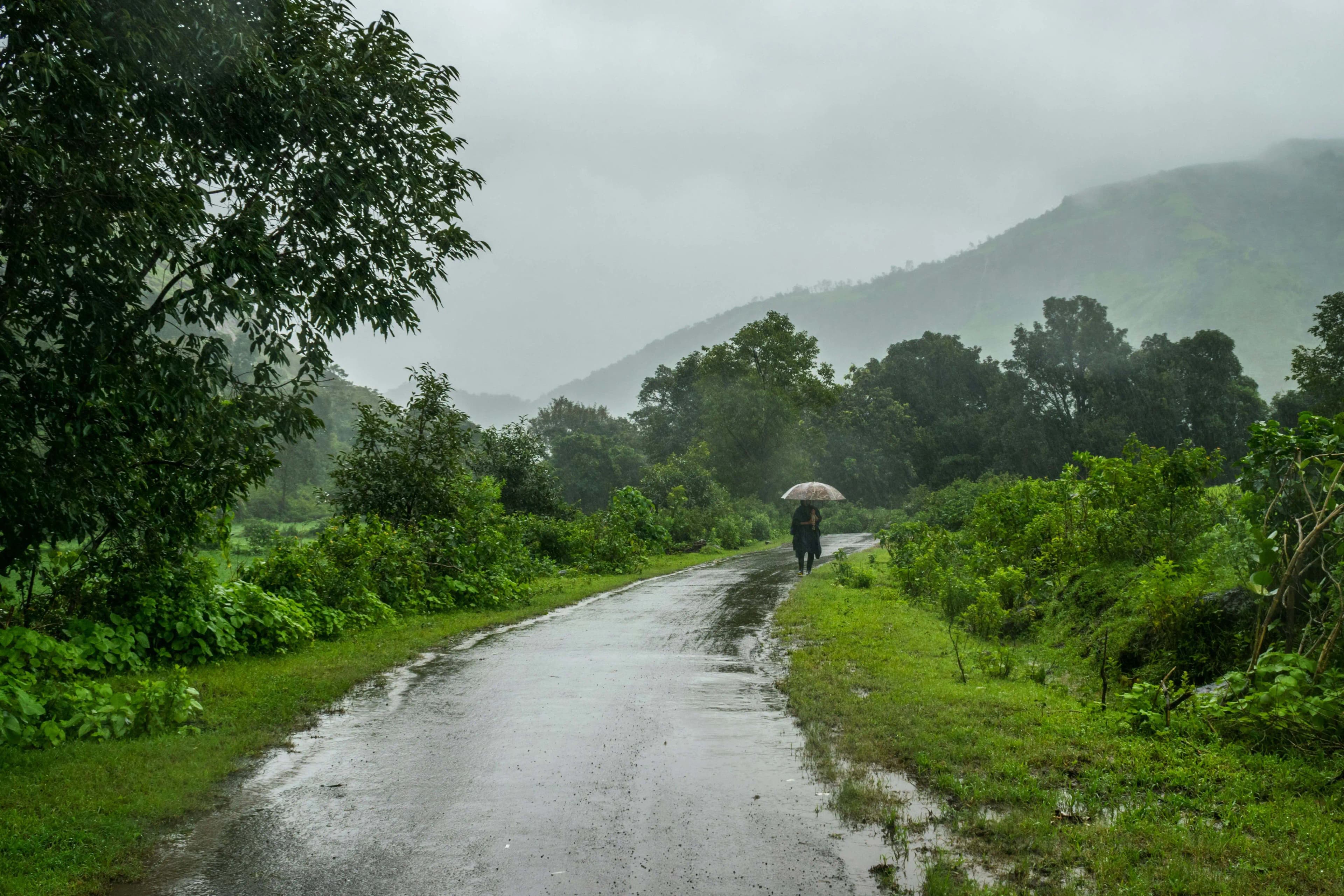 Oh! Malenadu - Western Ghats of Karnataka