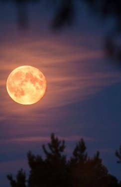 🌕🏗️🚀 The Architecture of Not Dying on the Moon