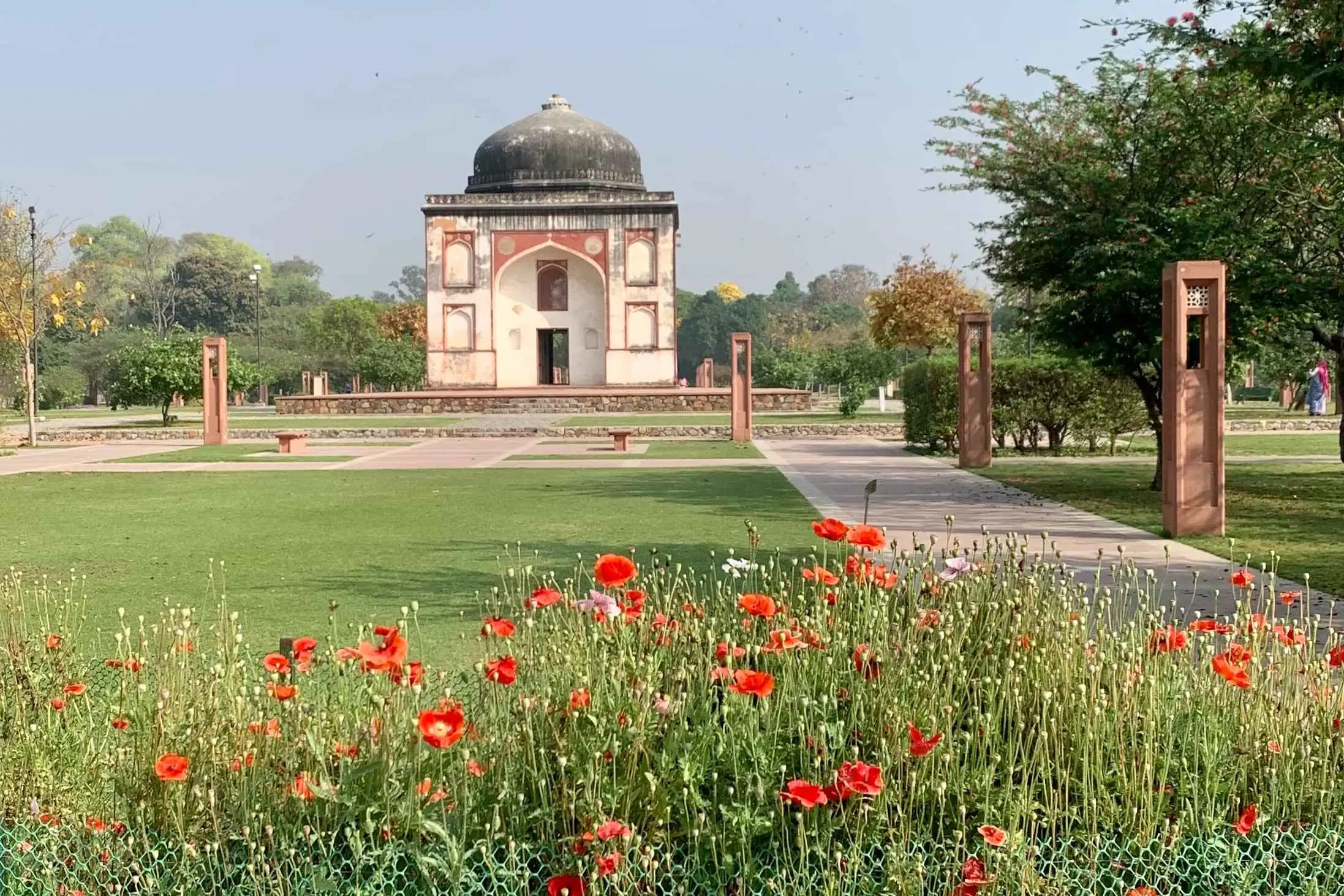 The Quiet Grandeur: Tales of Trees and Tombs