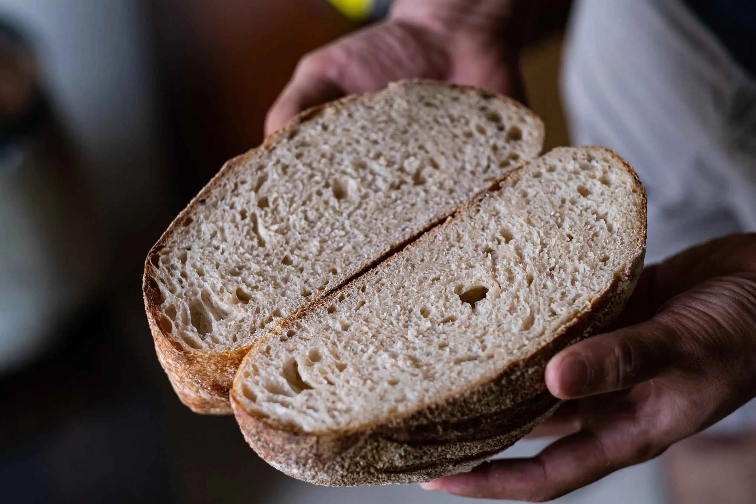 Bread & Food Systems