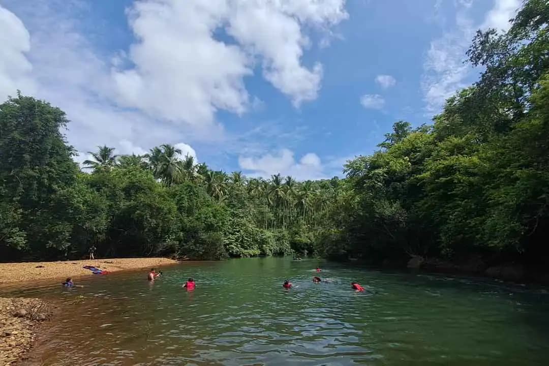 Varaak: Forest Bathing & Wild Dining