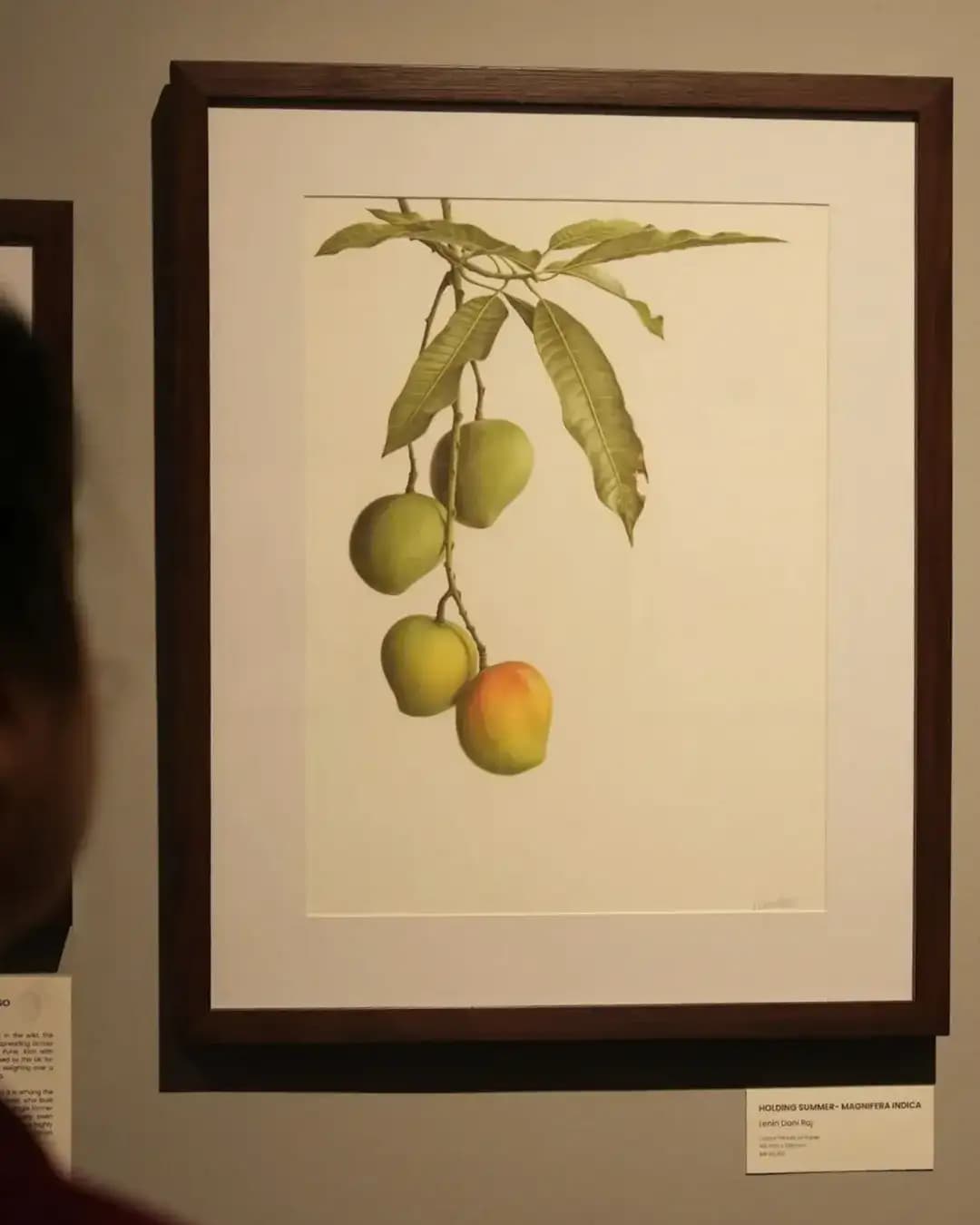 Guided Museum Tour at Museum of Goa