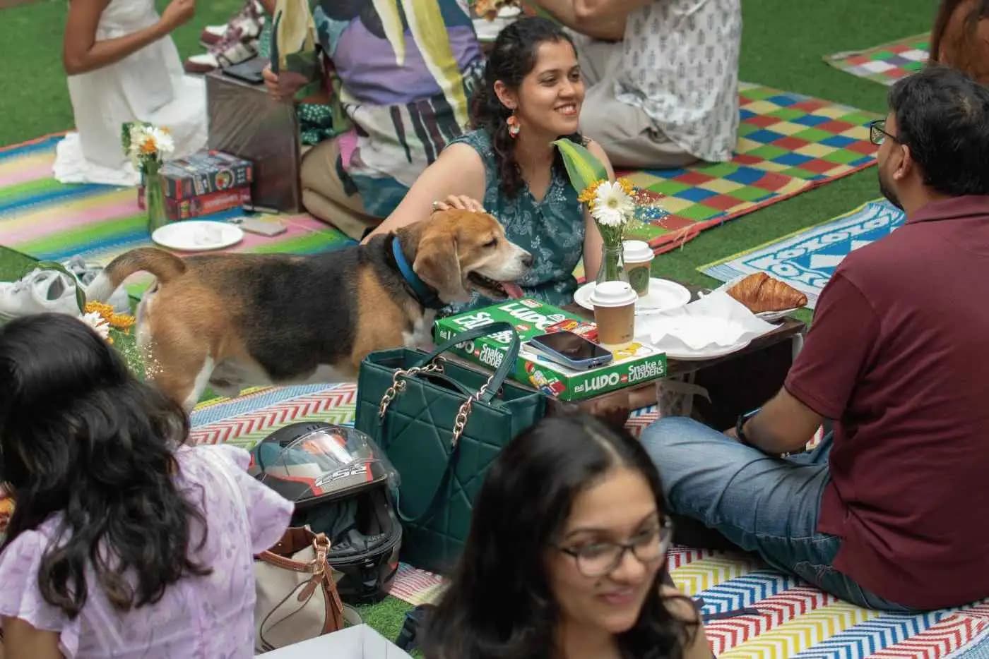 Courtyard Picnic with Subko