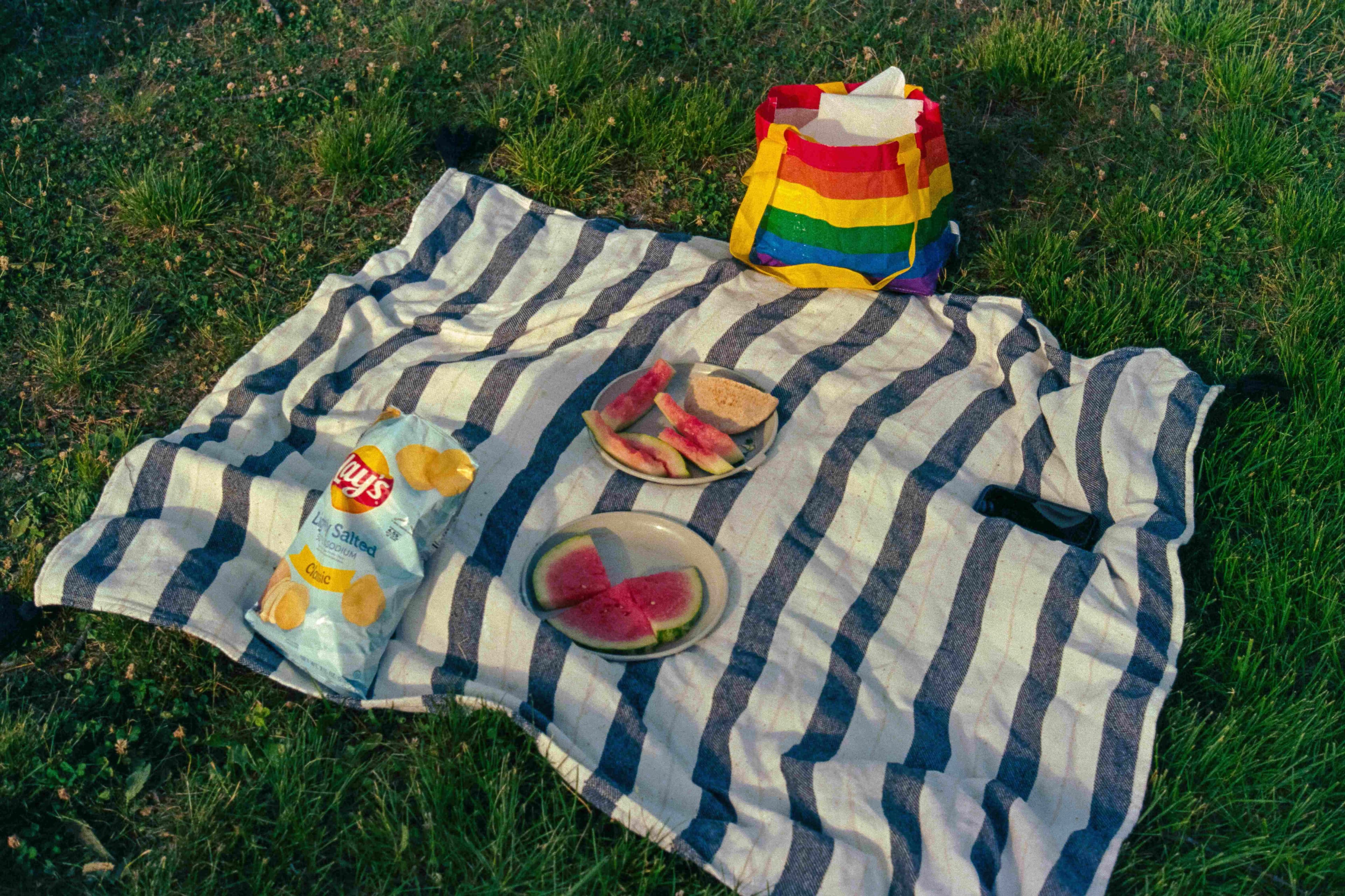 Pickiest Picnic with paChaak